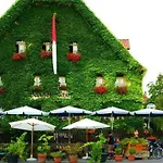 盖斯希夫酒店 3* Winterhausen