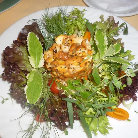 Hotel Hotel-gasthof-schiff